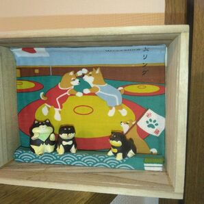 黒柴ボックス レスリング