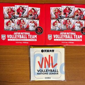 男子バレー ネーションズリーグ 色紙 スティックバルーン