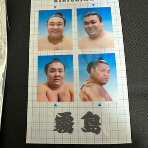 証明写真 霧島関