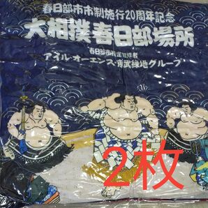 2枚 大相撲春日部場所 春日部市市制施行20周年記念 記念品 未使用 大相撲 座布団 相撲 相撲グッズ 春日部場所 埼玉