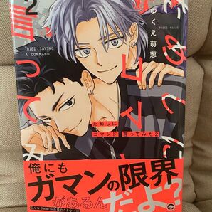 ためしにコマンド言ってみた 2