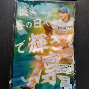 山﨑福也 応援歌 タオル ファイターズ 日本ハム 山崎福也