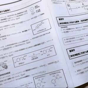 【即日発送】薬ゼミ 直前講習 総復習 薬理薬剤師国家試験薬学ゼミナール