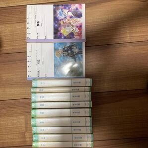 Fatal error 全巻セット 新書館ウィングス文庫 Wings novel) 新堂奈槻/著