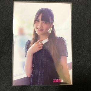 入山杏奈 AKB48 AKBと×× DVD 特典 生写真 B-6