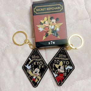 ディズニーストア ディズニーリゾート店 ミッキー ミニー