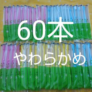 60本セット歯科医院専用Ci33 やわらかめ(Ci32ふつうに変更可能)