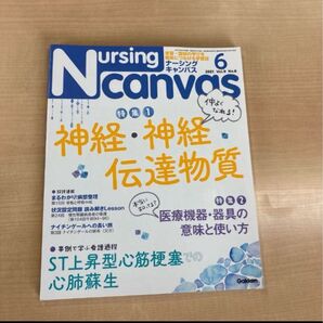 Nursing Canvas 2021年6月号 神経・神経伝達物質