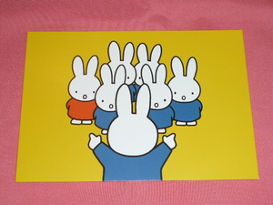 очень редкий! Kawai i! Miffy герой открытка ①