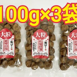 梅ぴー100×3】ほし梅 梅菓子 梅干し 屋外作業 脱水症 お菓子 おつまみ 駄菓子 沖縄お土産 脱水症 梅コロ 梅スッキリ