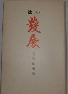 13　小説 發展　岩野泡鳴　特選 名著複刻全集　近代文学館