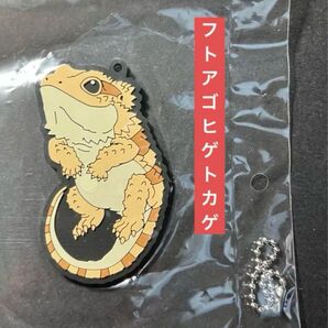 一番くじ爬虫類&両生類 H賞ラバーコレクション フトアゴヒゲトカゲ