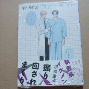針鼠とコントラスト 2 (MFCジーンピクシブシリーズ) ほとなか/著 アニメイト4pリーフレット
