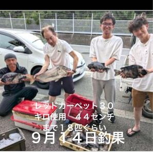 上級者向け補足説明です イシダイ用撒き餌 レッドカーペット10キロ