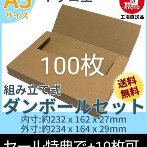 ネコポスクリックポストゆうパケット定形外郵便 A5ヤッコ型100枚