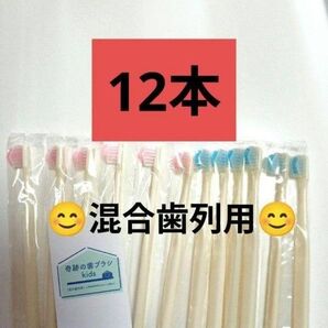【正規品】奇跡の歯ブラシ バージョンアップ品 子供用歯ブラシ 衛生用品 衛生用品 歯科専売 12本☆m#6tmw