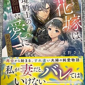 置き去りにされた花嫁は、辺境騎士の不器用な愛に気づかない (角川ビーンズ文庫 BB213-1) 文野さと/〔著〕