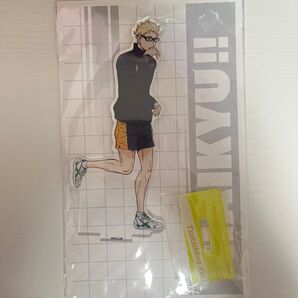 ハイキュー 全国遠征ポップアップストア 描き下ろしビジュアル アクリルスタンド 月島蛍