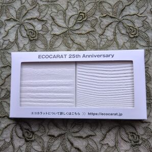 ブーツなど湿気対策にも!INAX★エコカラットホワイトデザイン2種入り