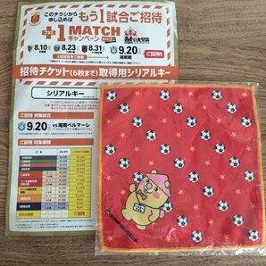 名古屋グランパス 招待チケット ハンカチ セット 鯱の大祭典 招待チケット取得用シリアルキー 豊田スタジアム