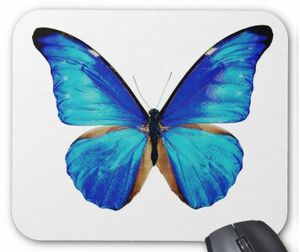 morufo butterfly. mouse pad ( white ground )