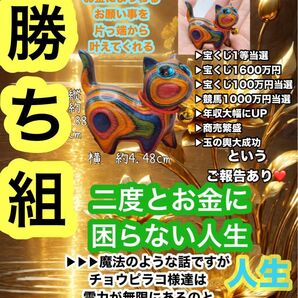 特級★人生勝ち組★座敷わらし/チョウピラコ様/宝くじ高額当選/人生大好転/霊石/呪物/護符/龍神【lily 88888888】