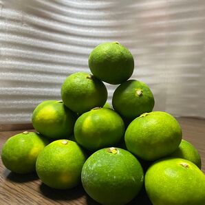 小玉 三重県産 極早生温州9kg!!