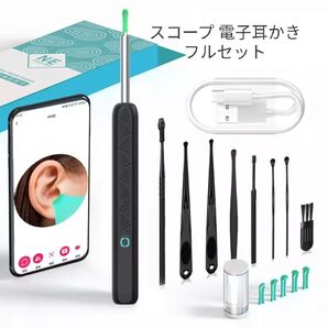 【新品】激安特価! 1点限り スコープ 電子耳かき フルセット スマート耳かき 耳掃除 カメラ付き 高解像度 アプリ動作確認済
