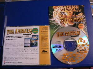 送料最安 180円 CDM24：アニマルズ　サンディエゴ動物園の世界を体験　Windows初期版　MultiSoftマルチソフト社