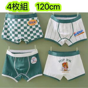 4枚組120男の子ボクサーパンツ子供下着綿 キッズ パンツ男児幼児 肌着 50号