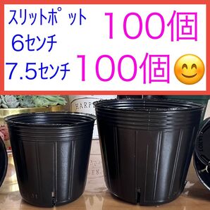 J③ スリットポットお得セット★【6センチ100個】【7.5センチ100個】 黒