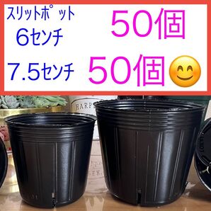 J③ スリットポットお得セット★【6センチ50個】【7.5センチ50個】 黒