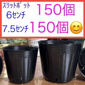 J③ スリットポットお得セット★【6センチ150個】【7.5センチ150個】 黒