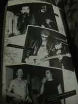 パンクロックエクスプロージョン1977 PUNK ROCK EXPLOSION 本 SEX PISTOLS CLASH DAMNED STRANGLERS SLITS RAMONES IGGY POP SUBWAY SECT_画像6