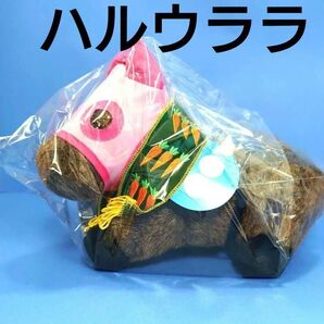 【稀少品】ハルウララ 競馬 ぬいぐるみ ウマ娘 アイドルホース 馬 AVANTI