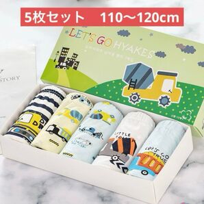 5枚セット 110-120 男の子ショーツ 男の子下着 綿 肌着