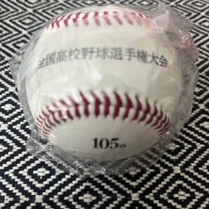 第105回 全国高校野球選手権大会 記念ボール