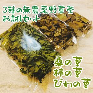 3種の農薬不使用野草茶 びわの葉・柿の葉・桑の葉