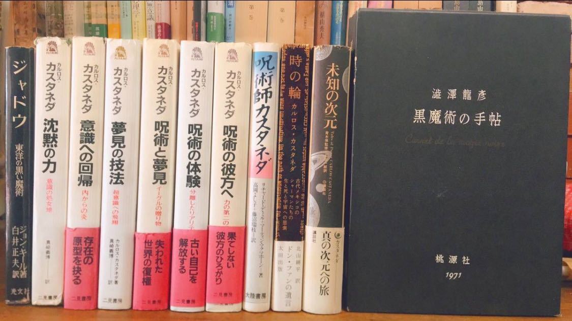絶版 カルロス・カスタネダ関係 全9冊 検 呪術の実践/夢見の技法/呪術