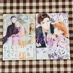 年の差十五の旦那様 このたび鬼上司の秘書になりまして