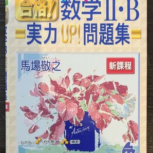 新品未使用 スバラシクよく解けると評判の合格!数学2・B実力UP!問題集/馬場敬之 問題集
