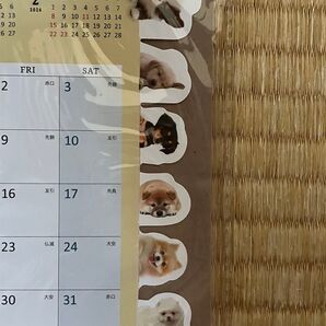 2026年 インデックス卓上カレンダー イヌ