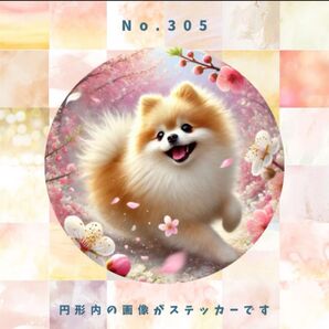 リアルで可愛い犬の防水ステッカー ポメラニアン No.305