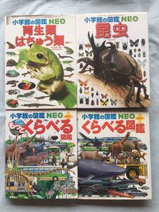 小学館の図鑑NEO プラス くらべる図鑑 両生類 爬虫類 小学館 昆虫 4冊 セット