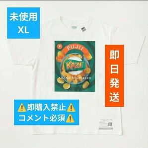 【コメント必須▼値下げ不可】藤井風 ポテチ Tシャツ XL グッズ EU / NA TOUR fujiikaze