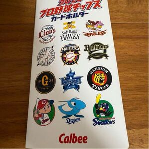 2020年 プロ野球チップス カード ホルダー セット ヤクルト