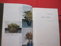 ★亜熱帯気候と土質に適した 沖縄の花卉・園芸 【沖縄・琉球・農業・植物】_画像9