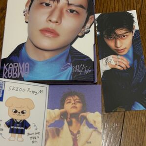 スキズ skzooバージョン スンミン アコーディオン プレイヤーチケットスンミン・プロフィールカードセット