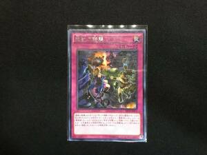 遊戯王 霊獣の騎襲 レア SECE 亜 中古良品 在庫2