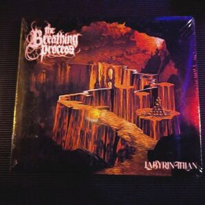 The Breathing Process Labyrinthian CD紙ジャケ